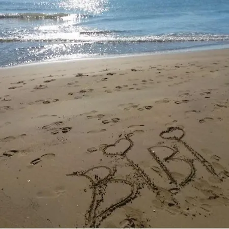 Enjoy Your Holidays From Our Magnificent Terrace *