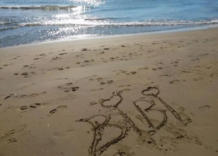 Enjoy Your Holidays From Our Magnificent Terrace *